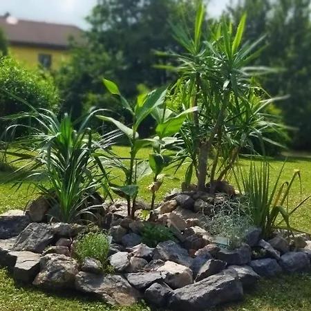 Lejlighed Rekreacni Wellness Dum Mariposa *
